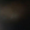 xxdizzystepxx